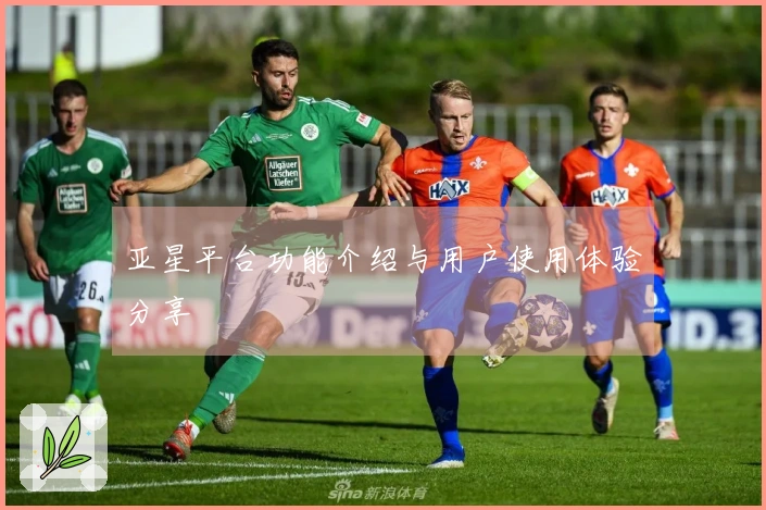 亚星平台功能介绍与用户使用体验分享