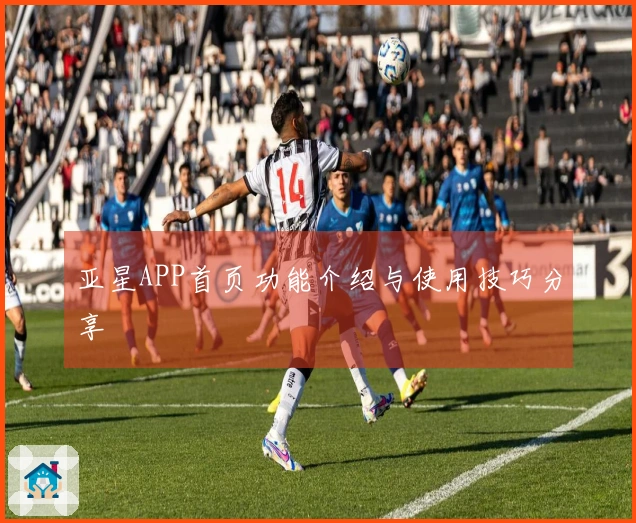 亚星APP首页功能介绍与使用技巧分享